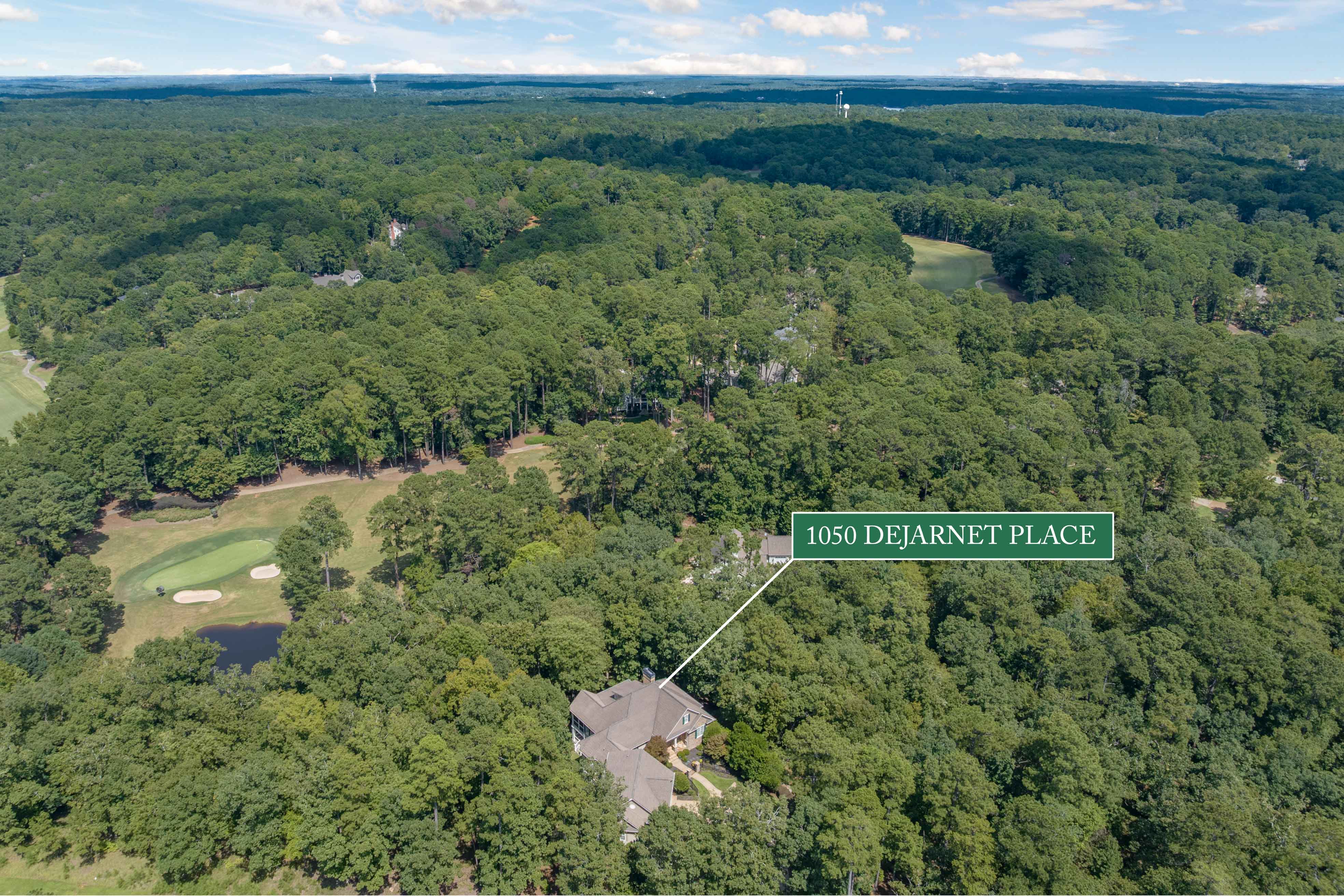 1050 Dejarnet Place image 61